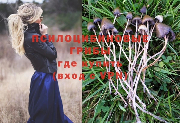 прущий лед Волосово