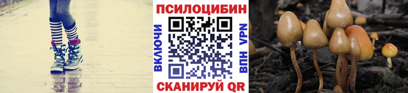 Галлюциногенные грибы прущие грибы Мариинск