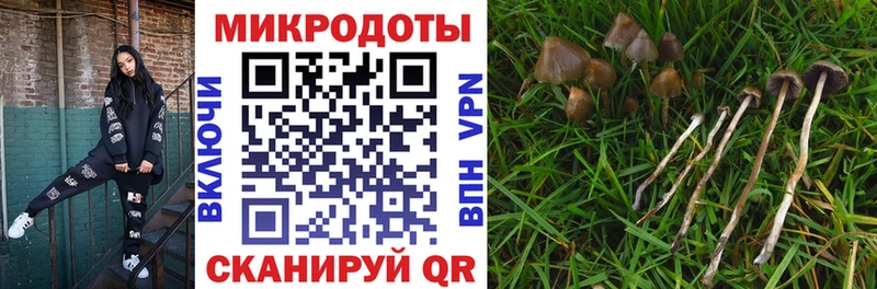 Галлюциногенные грибы ЛСД  закладка  Мариинск 